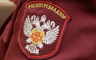 В Роспотребнадзоре начала работать горячая линия по профилактике клещевого энцефалита