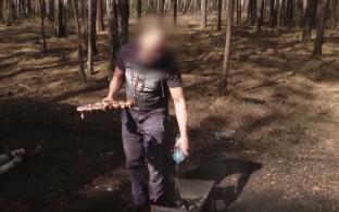 Разводить костры и готовить на мангалах запретят в Свердловской области