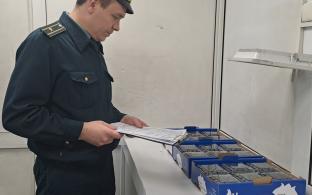 Уральские таможенники оформили ввоз первой партии голубики из Китая
