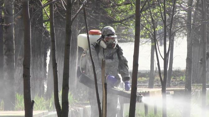 В Первоуральске продолжают обрабатывать территории от клещей