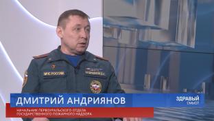 Здравый смысл. начальник первоуральского отдела Госпожанадзора Дмитрий Андриянов