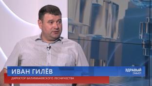 Здравый смысл. 19-05-2026. Гость студии – директор Билимбаевского лесничества Иван Гилёв.