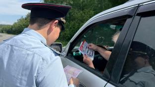 Сотрудники Госавтоинспекции Первоуральска провели серию профмероприятий на автодорогах федерального и регионального значения