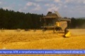 До восьми миллионов рублей – начинающим сельхозпроизводителям