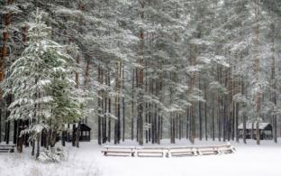 Выходные в Первоуральске будут тёплыми