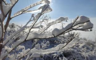 4 февраля в Свердловской области ожидается сильный снег