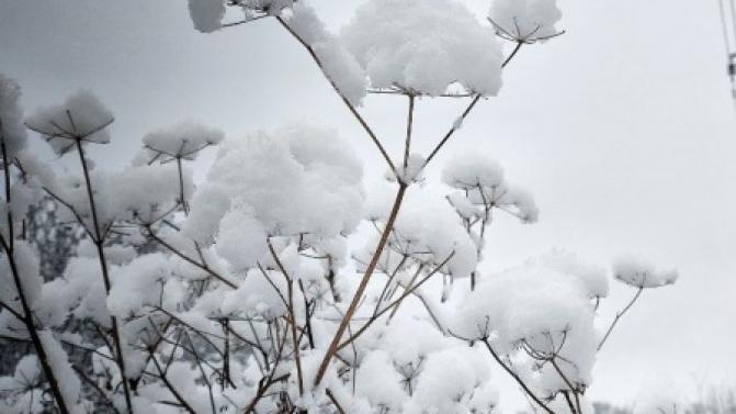В выходные в Первоуральске будет тепло и снежно