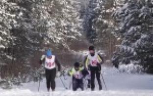 Несмотря на морозную погоду, несколько десятков горожан встали на лыжи, чтобы побороться за награды Всероссийского комплекса «Готов к труду и обороне»