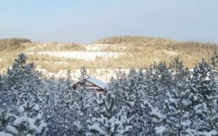Лесничие Свердловской области проведут свыше 19 тысяч патрулирований в 2026 году