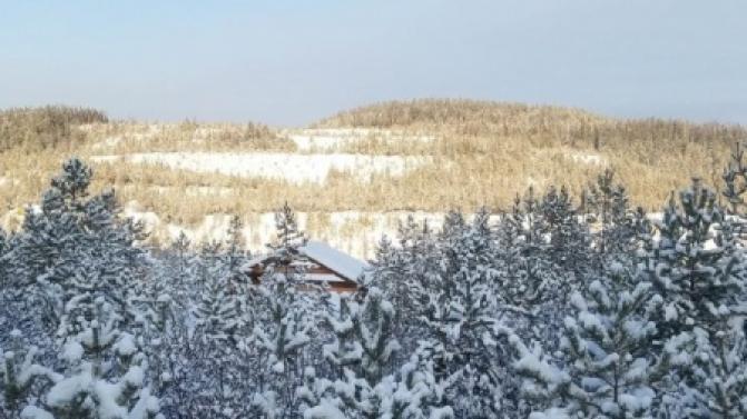 Лесничие Свердловской области проведут свыше 19 тысяч патрулирований в 2026 году