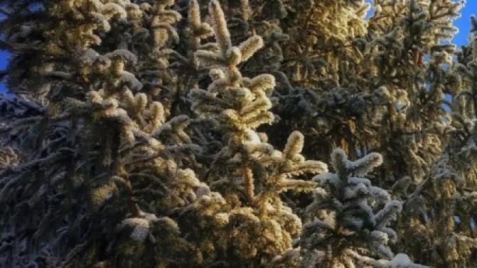 В Первоуральск вернутся холода