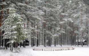 В выходные в Первоуральске станет теплее