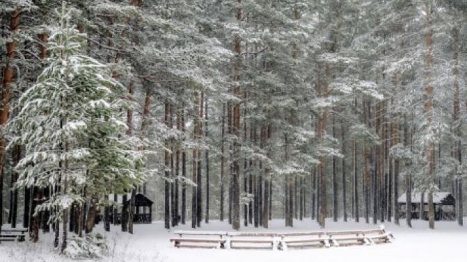 В выходные в Первоуральске станет теплее