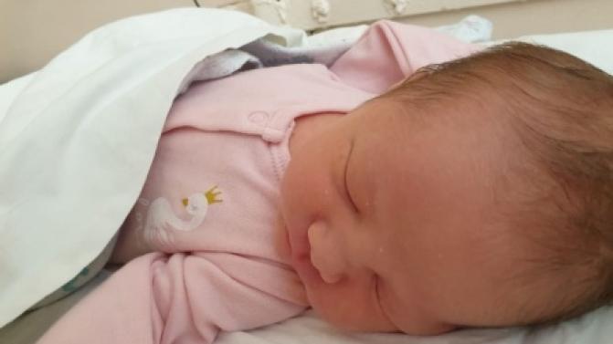 С начала года в Свердловской области родились 868 малышей