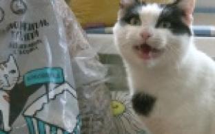 Первоуральские металлурги продемонстрировали пример социальной ответственности