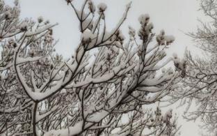 Выходные в Первоуральске будут тёплыми