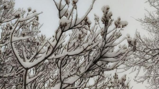 Выходные в Первоуральске будут тёплыми