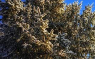 В Первоуральске потеплеет к середине рабочей недели