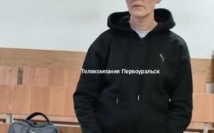 Сегодня первоуральский суд вынес приговор Елене Сабировой, более известной в Первоуральске как Казанко