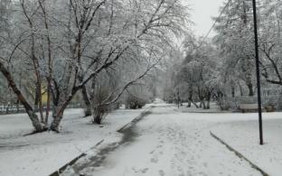 В Первоуральске станет прохладнее к концу рабочей недели