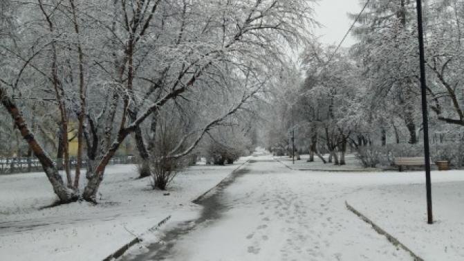 В Первоуральске станет прохладнее к концу рабочей недели