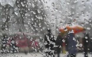 Выходные в Первоуральске будут тёплыми, но дождливыми