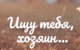 Ищу тебя, хозяин. 18-11-2025