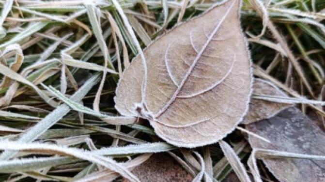 В Первоуральске немного похолодает к концу рабочей недели