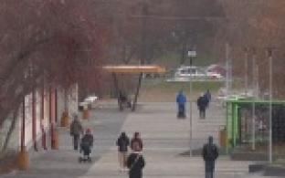 Улучшение качества кулинарных изделий и частые случаи фальсификации мясной продукции за последние 9 месяцев