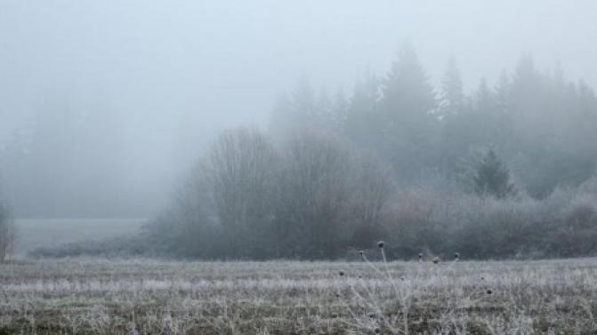 Рабочая неделя в Первоуральске будет прохладной