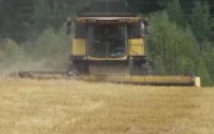 Рост урожайности картофеля на 26 тысяч тонн и дополнительные 2,5 тысячи гектаров, отданные под сельское хозяйство