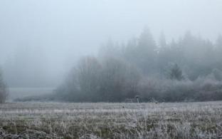 В выходные в Первоуральске похолодает