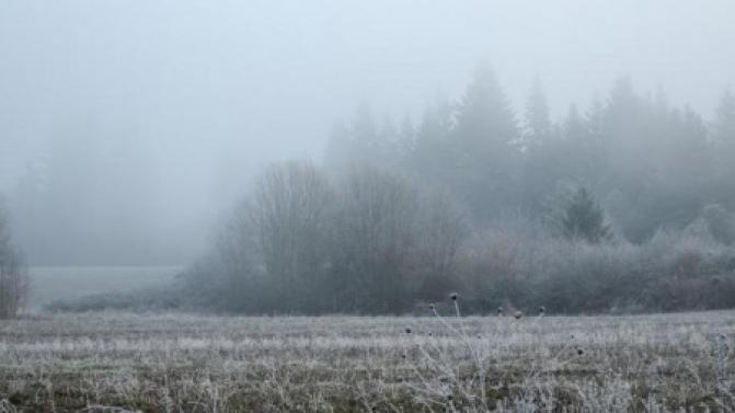 В выходные в Первоуральске похолодает