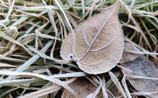 В Первоуральске похолодает к концу рабочей недели