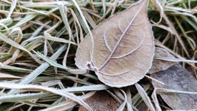 В Первоуральске похолодает к концу рабочей недели