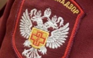 Больше половины проверенных детских игрушек на Среднем Урале продают с нарушением требований, в том числе связанных с безопасностью