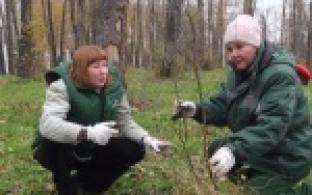 Экологическая инициатива на вырост