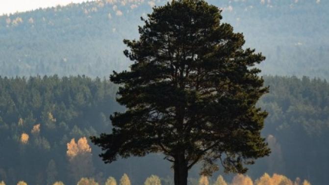 Выходные в Первоуральске будут достаточно тёплыми