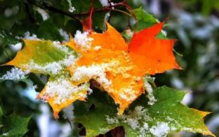 В выходные в Первоуральске ожидается первый снег