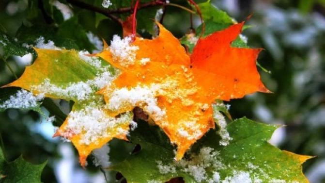 В выходные в Первоуральске ожидается первый снег