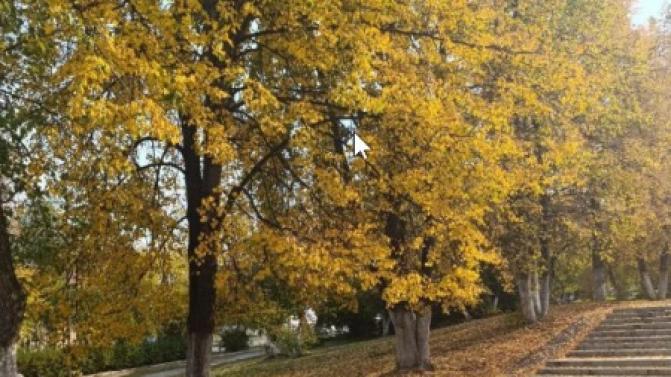 Рабочая неделя в Первоуральске будет по-осеннему тёплой