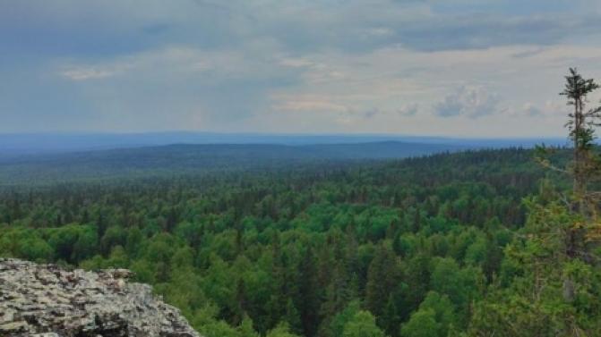 Рабочая неделя в Первоуральске будет дождливой