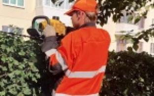 Первоуральские коммунальщики дарят городским растениям новые «причёски»