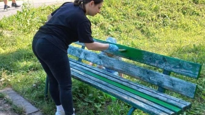 Студенты-волонтёры помогли благоустроить природный парк «Оленьи ручьи»