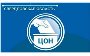 Эксперты проанализировали первые данные о поданных заявлениях для участия в дистанционном электронном голосовании