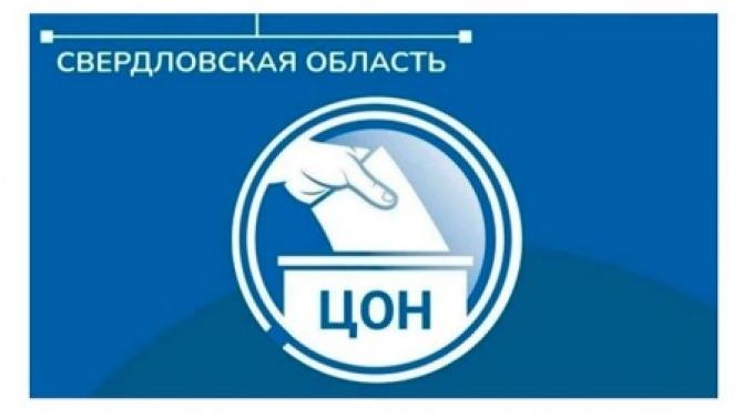 Эксперты проанализировали первые данные о поданных заявлениях для участия в дистанционном электронном голосовании