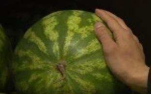 В это воскресенье, 3 августа, отмечается Международный день арбуза