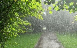 Выходные в Первоуральске будут прохладными и дождливыми