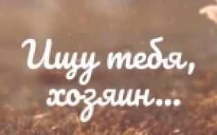 Ищу тебя, хозяин. 15-07-2025