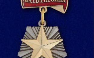 Правительство разработало законопроект, по которому с 1 января начнут действовать новые меры поддержки для многодетных родителей